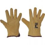 Gloves PIGEON 10, leather, men's